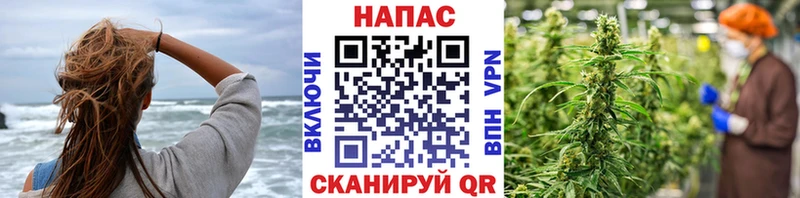 darknet клад Каспийск Конопля планчик